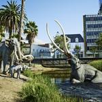 Lake Pit at the La Brea Tar Pits