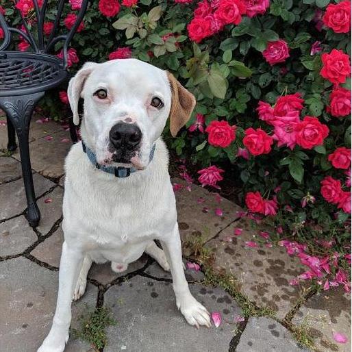 Our sweet boy