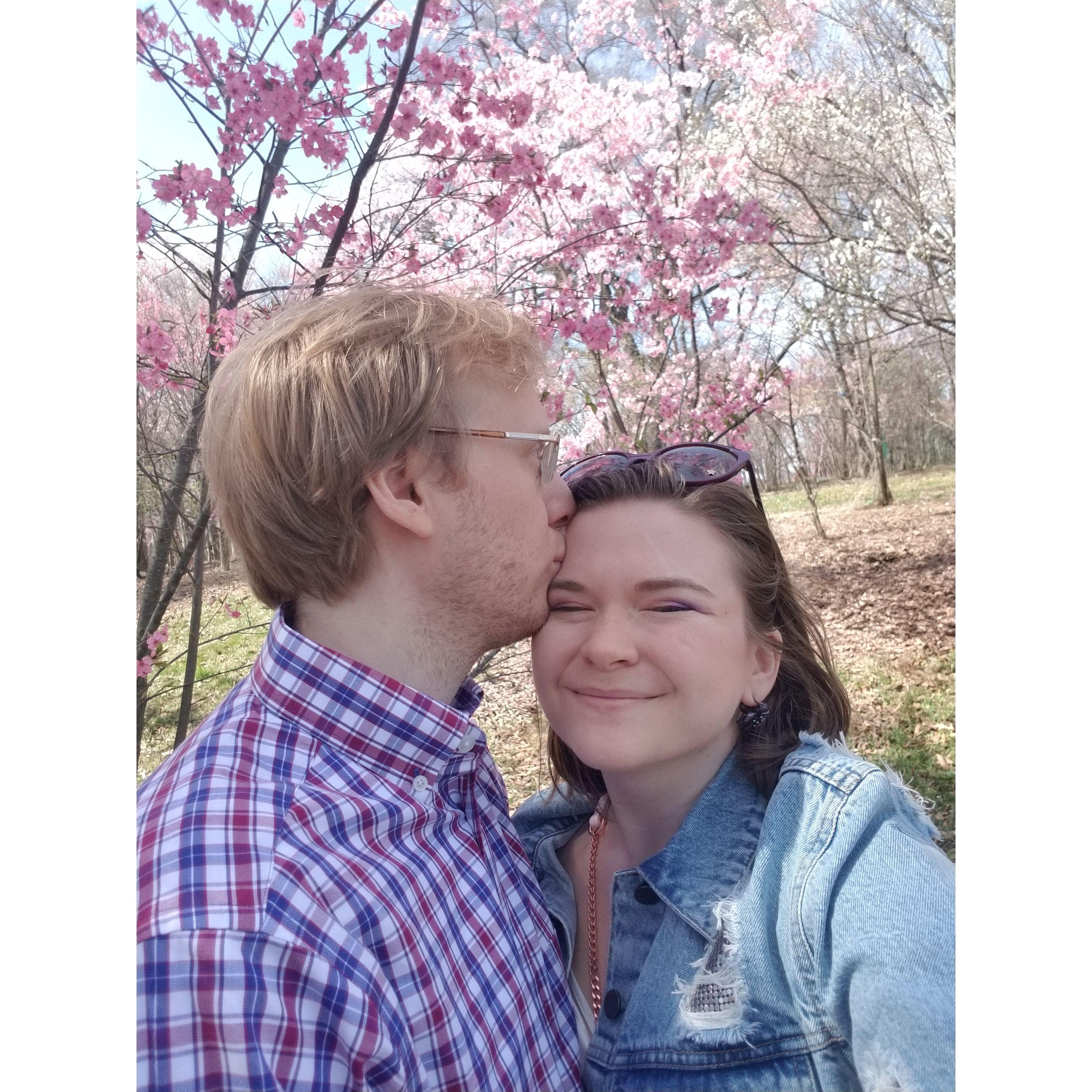 Visiting the cherry blossoms at the DC arboretum. 