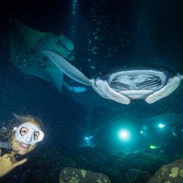 Manta Ray Scuba Diving Fund