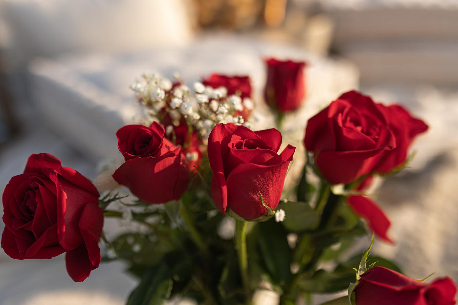 The Wedding Website of Karla Torres and Thomas Esposito