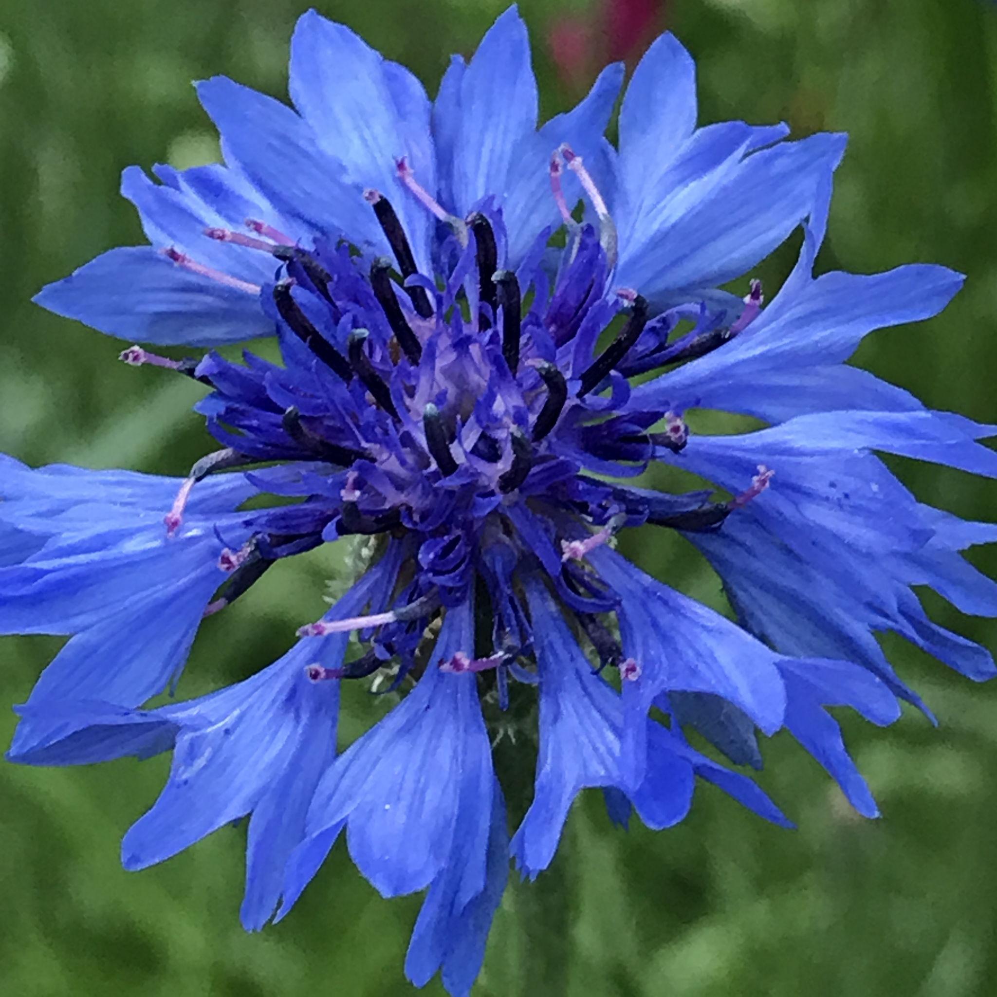 The Wedding Website of Claire Annelise Wilson and Paul Matthew Fuerst