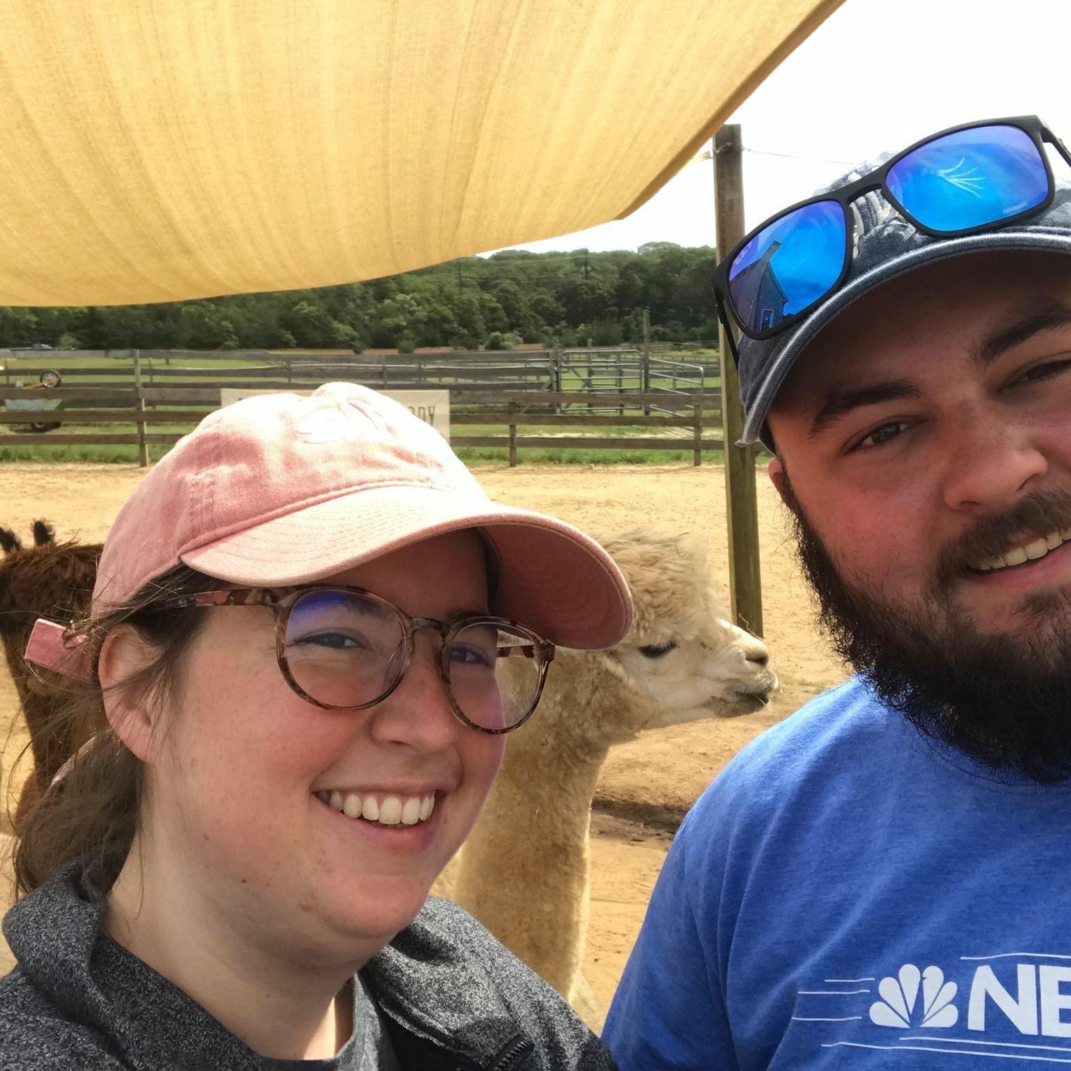 Visiting the Alpaca farm.