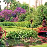 Sunken Gardens