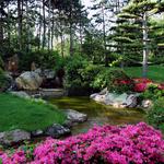 Descanso Gardens