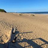 Mtunzini Beach and Game Reserve