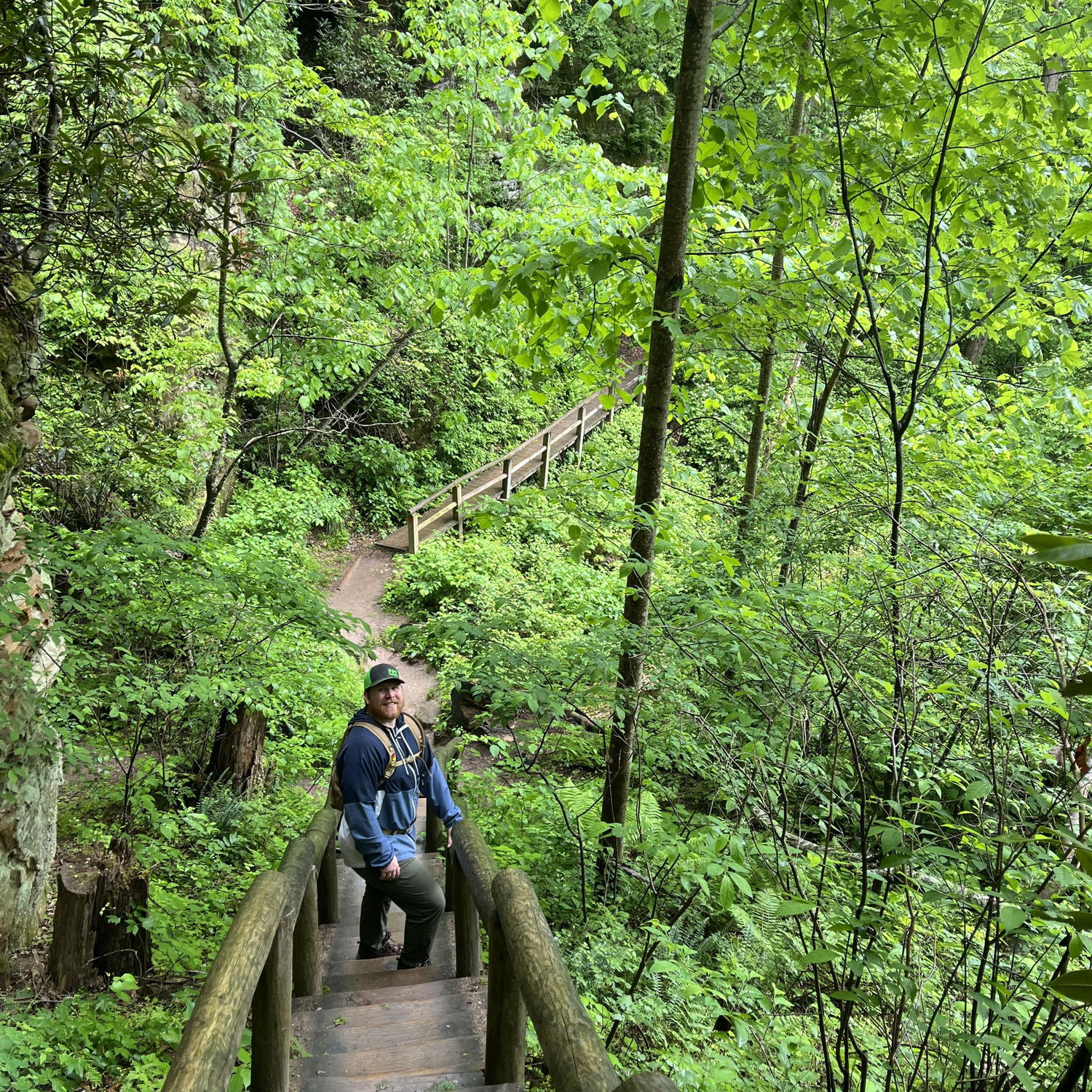 The Red River Gorge, KY