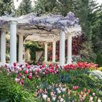 Crystal Hermitage Gardens