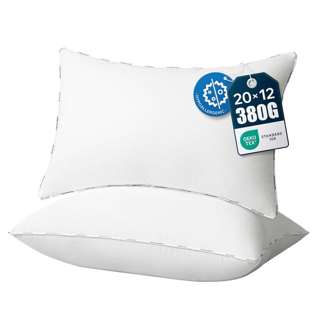 Phantoscope Hypoallergenic Throw Pillows Insert, 100% Virgin Fiber Throw Pillows - Indoor Pillow Inserts Decor Stuffer for Desk Sofa and Couch, Set of 2, 12 x 20