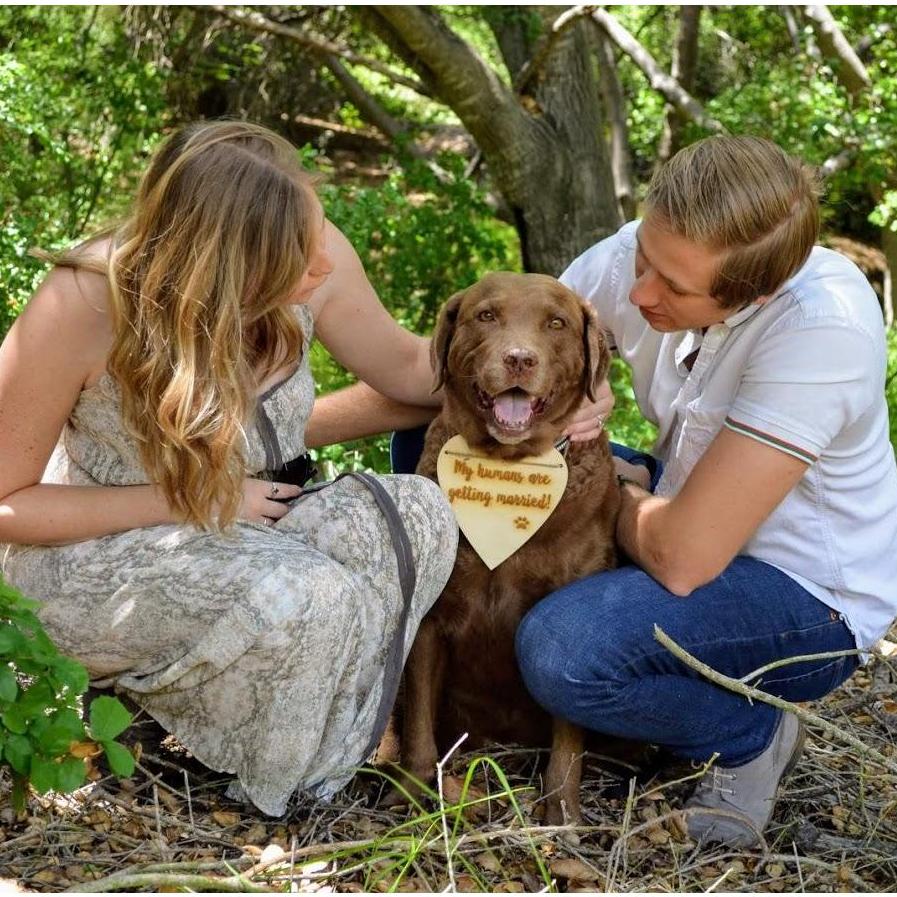 "My humans are getting married"