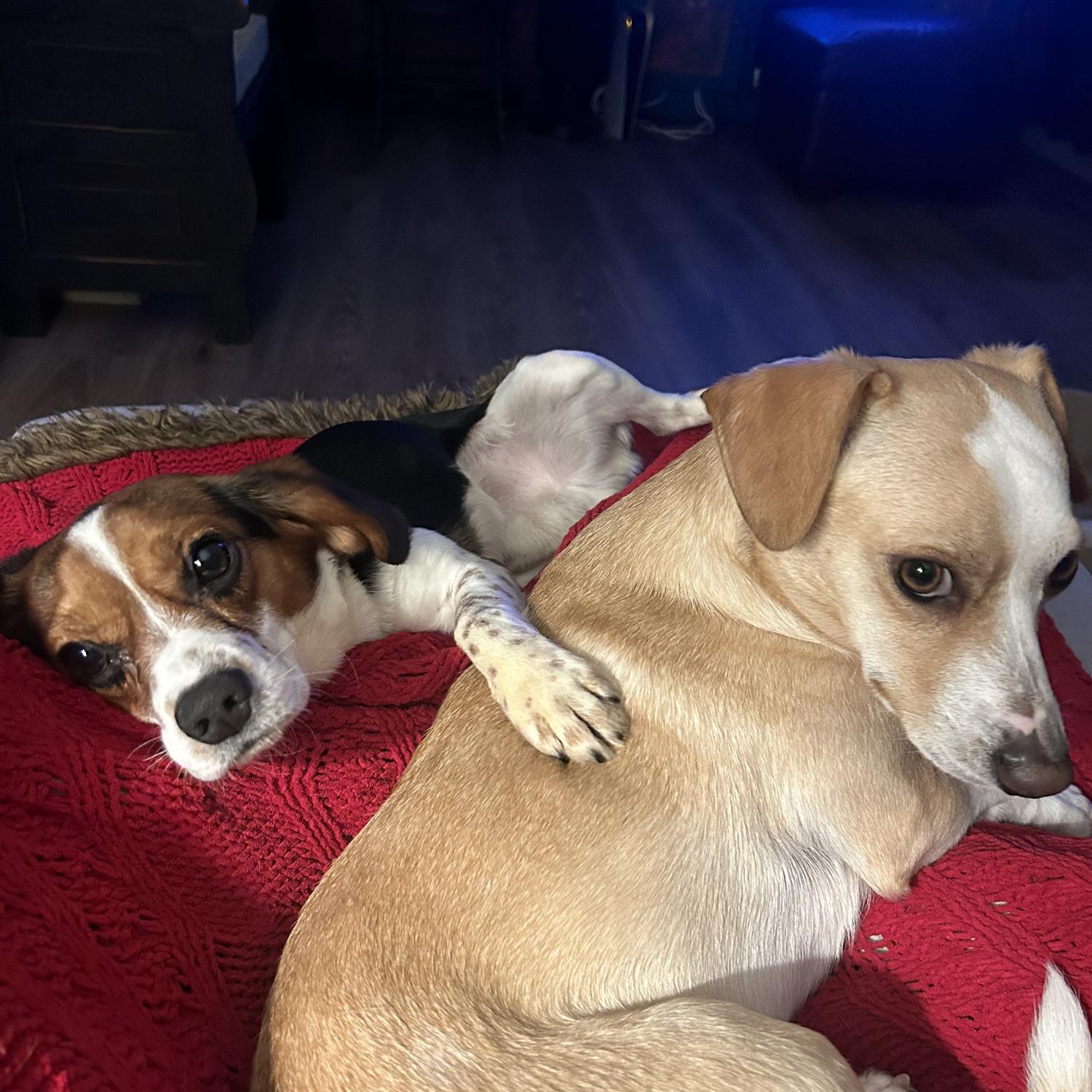 Nike and Cooper ❤️