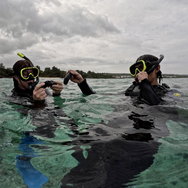 Honeymoon- Activities