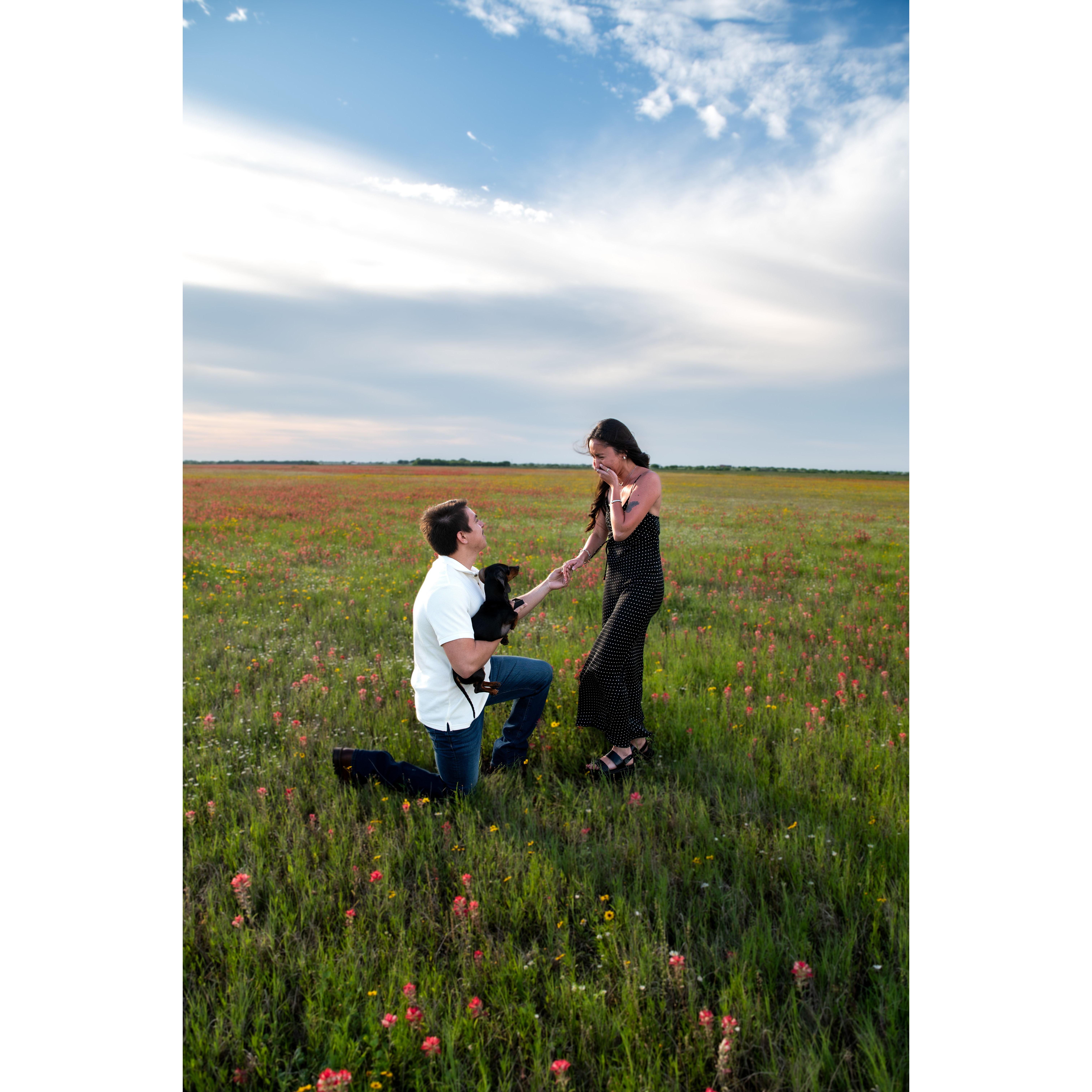 The day Jesse proposed