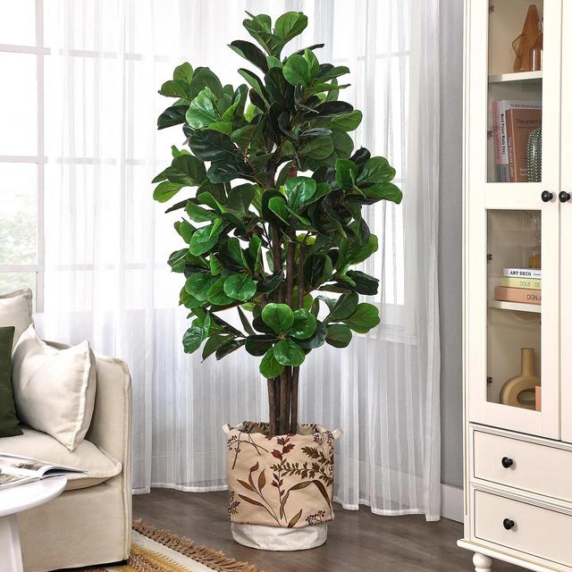 Plants!