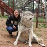 Colorado Wolf and Wildlife Center