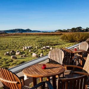 Dinner at Mission Ranch in Carmel-by-the-Sea