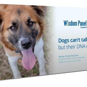 Wisdom Panel 3.0 Breed Identification DNA Test Kit