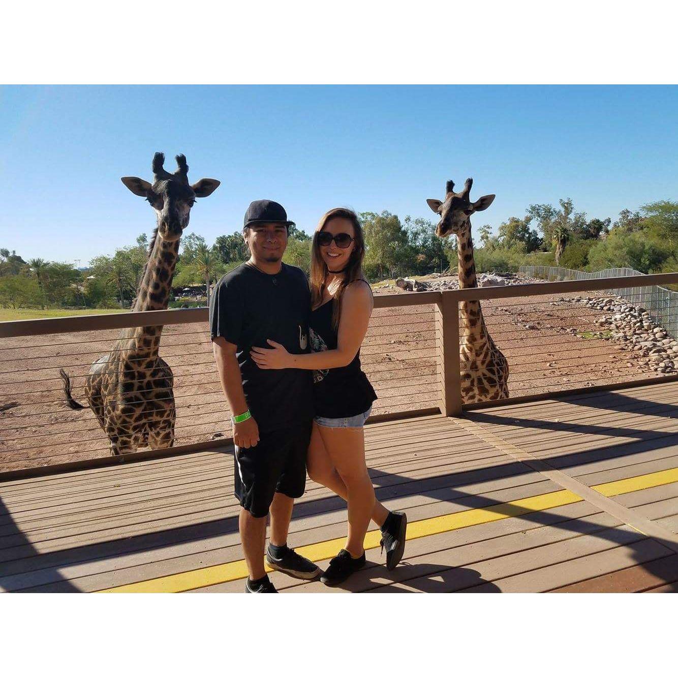 Our first year of being together celebrating at the Arizona Zoo.