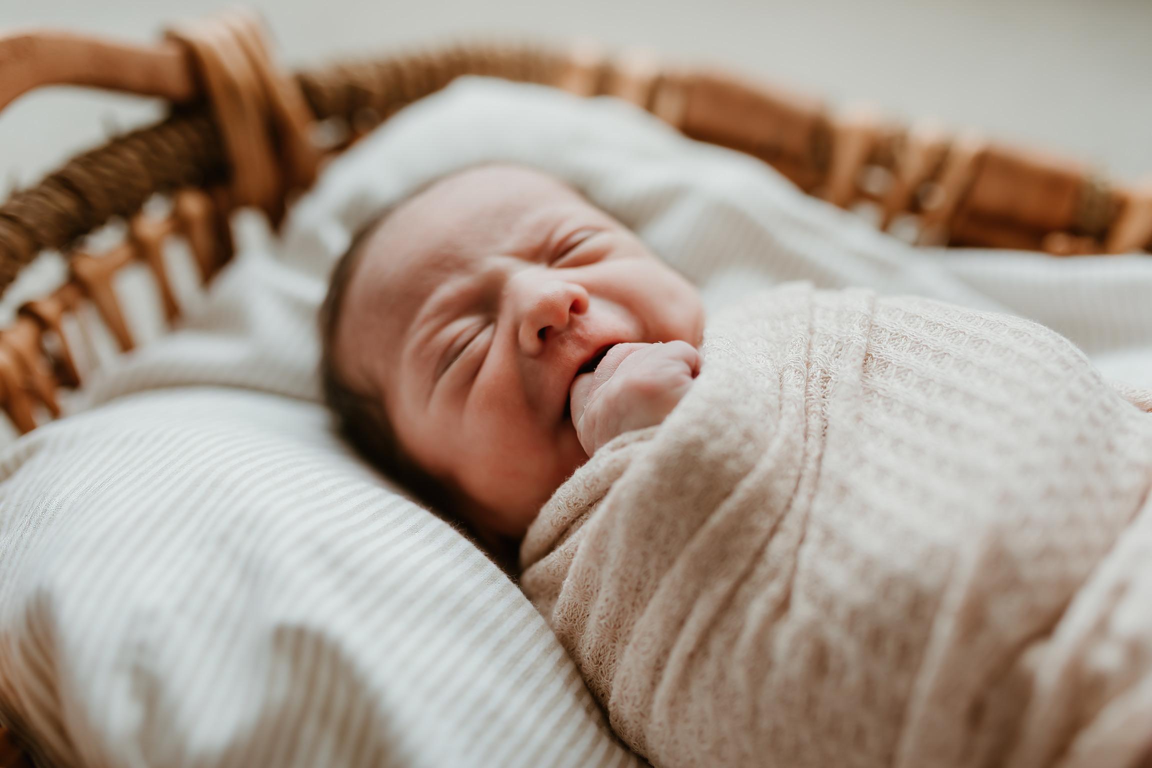 The Wedding Website of Emily Forcade and Zachary Forcade