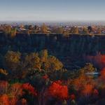 Upper Bidwell Park