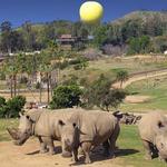 San Diego Safari Park