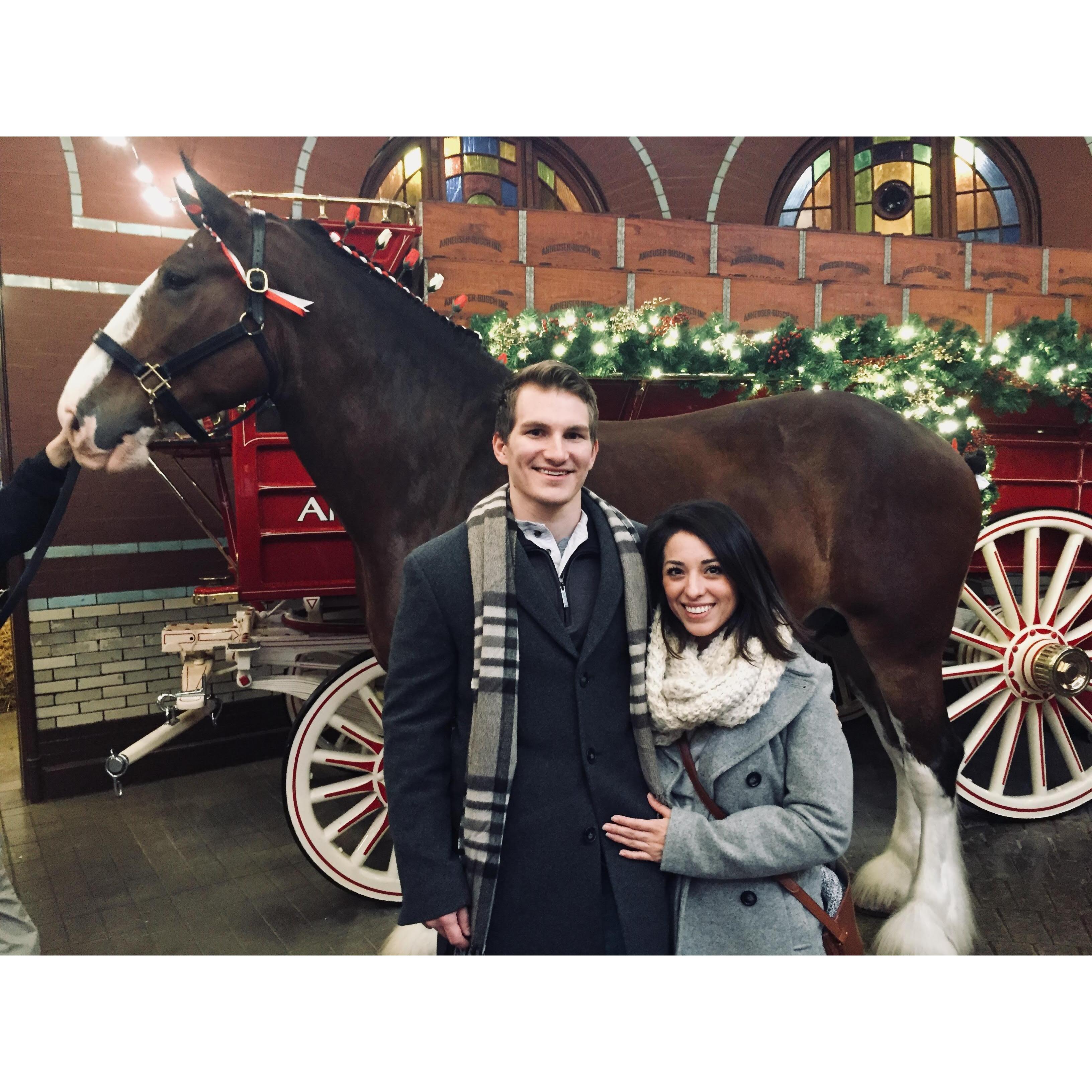 Budweiser Brewery tour
St. Louis 2018