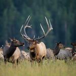 Rocky Mountain National Park