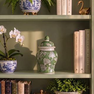 Lilia Decorative Ceramic Ginger Jar with Domed Lid