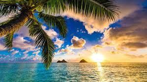 5acc11f9-7a93-4c41-ae90-9f44bef5ff42