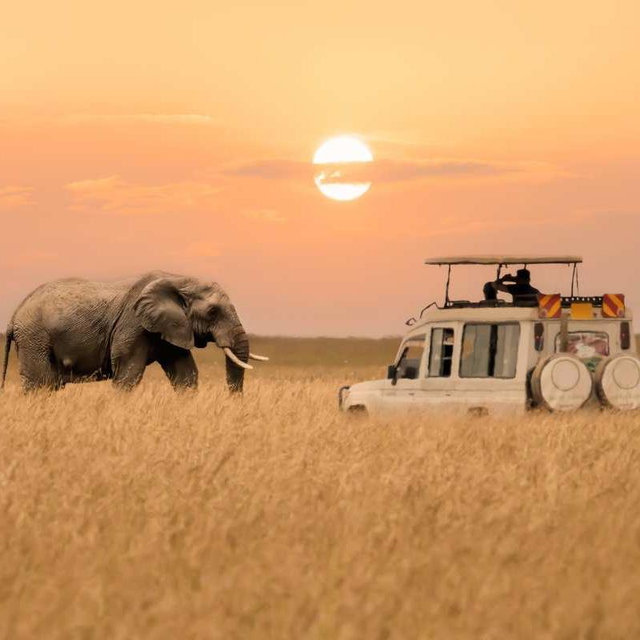 Our Next Great Adventure