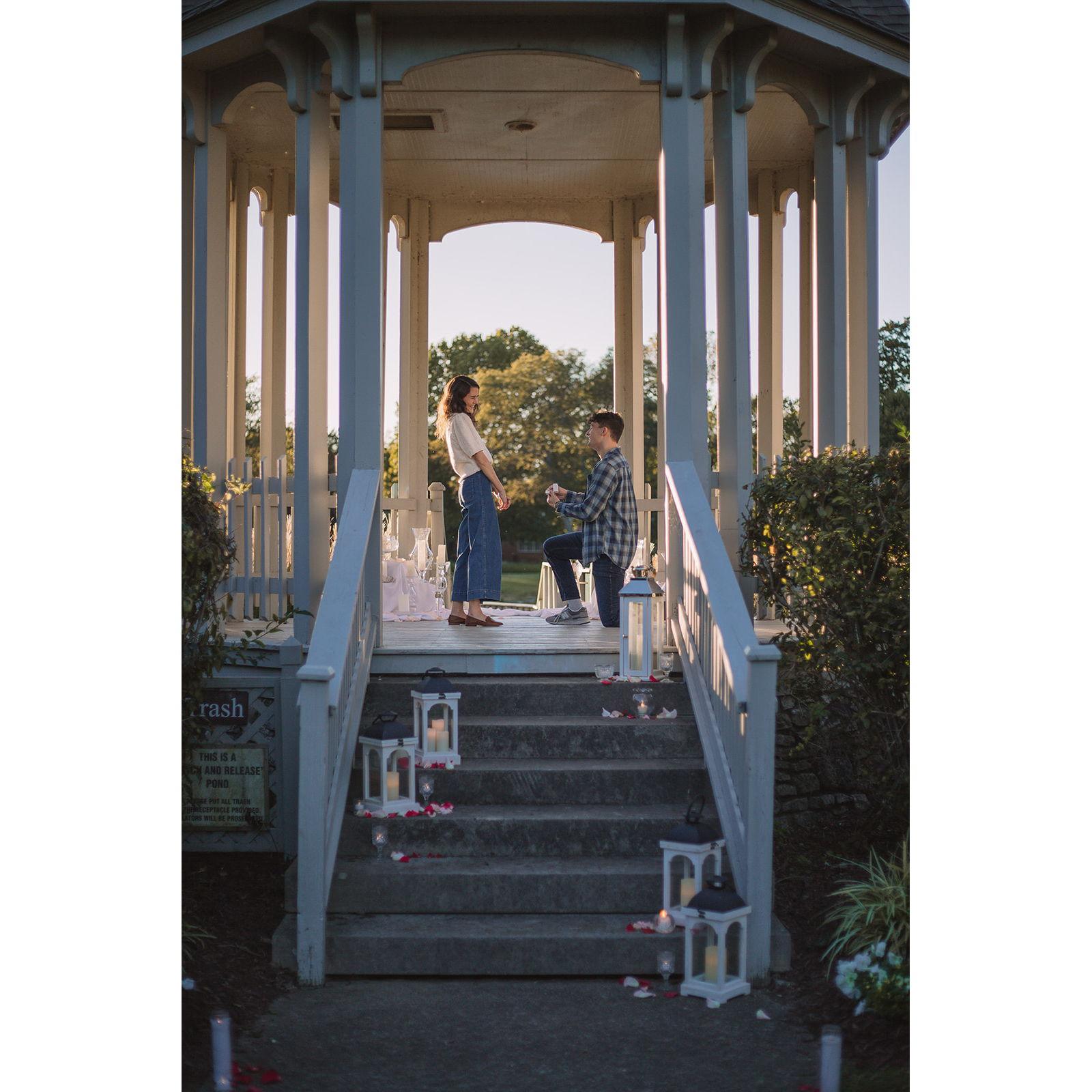 the proposal