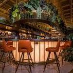 The Vine Room Naples