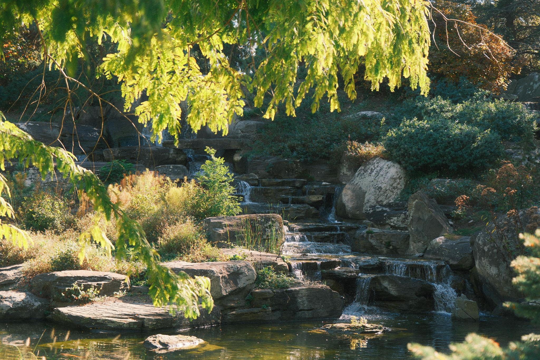 The Wedding Website of McKenna Pierson and David Chung