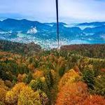 New York Zipline Adventures LLC