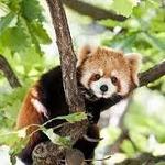 Columbus Zoo and Aquarium