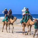 Cabo Adventures ( Camel Ride)