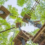Aerial Adventure Course & Ziplines