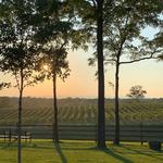 The Winery at Bull Run