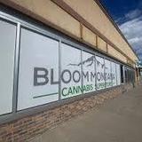 Bloom Four Corners