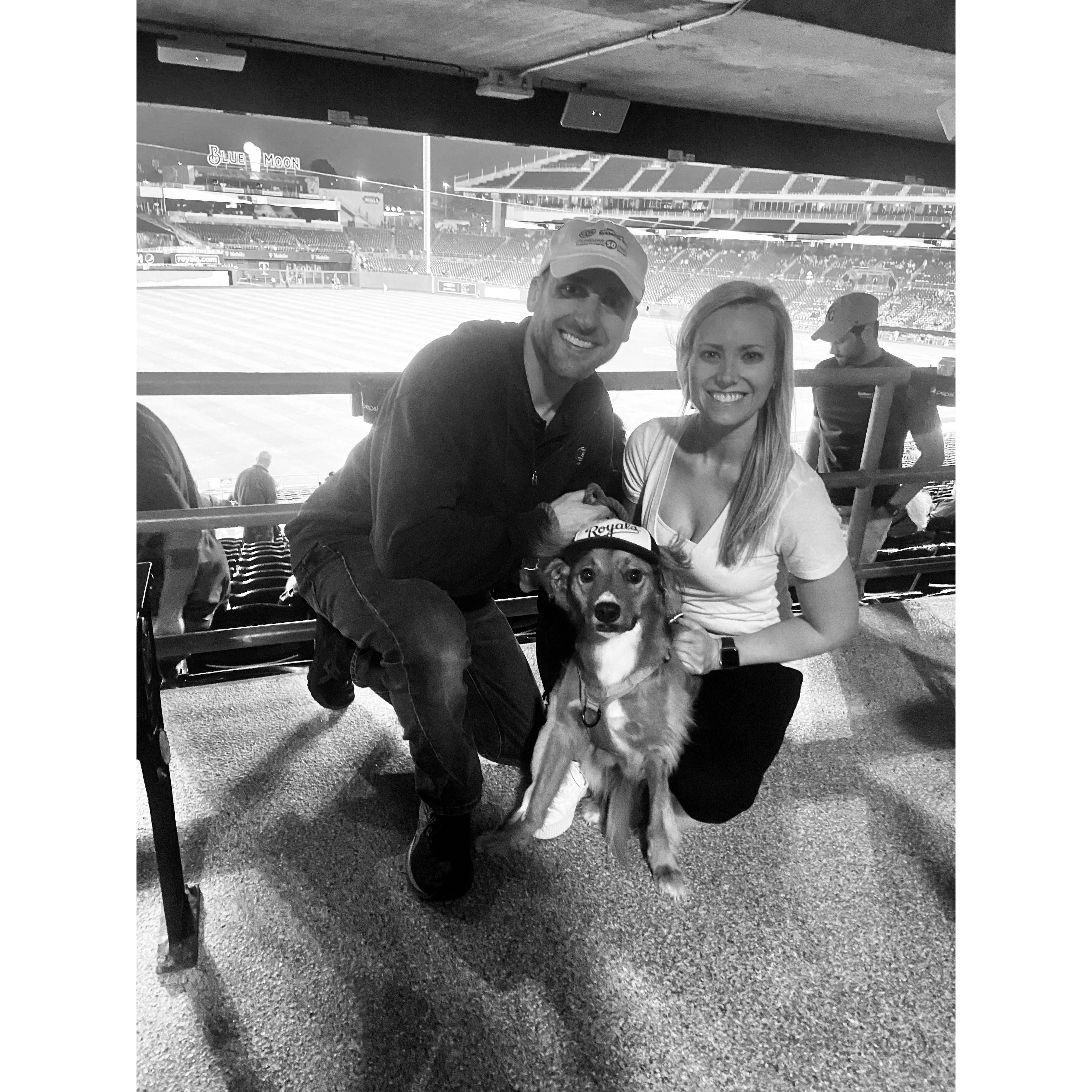 Bark at the Park