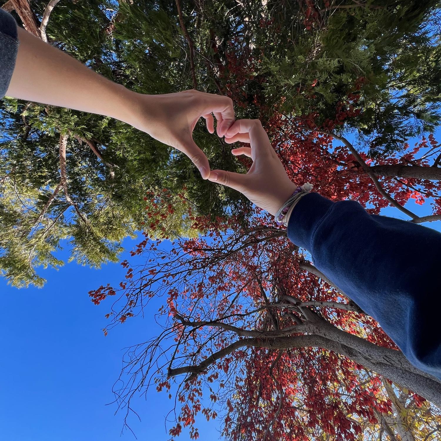 Lovely time in the fall.