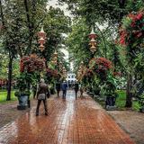 Garden District