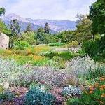 Santa Barbara Botanic Garden