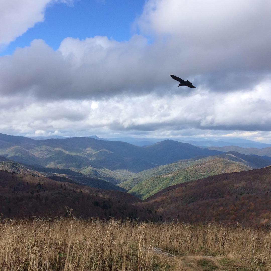 Sept. 11, 2018: Graveyard Fields, the view where we got engaged. The sky cleared right as I asked Brianna to marry me