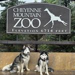 Cheyenne Mountain Zoo