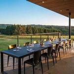 Ponzi Vineyards