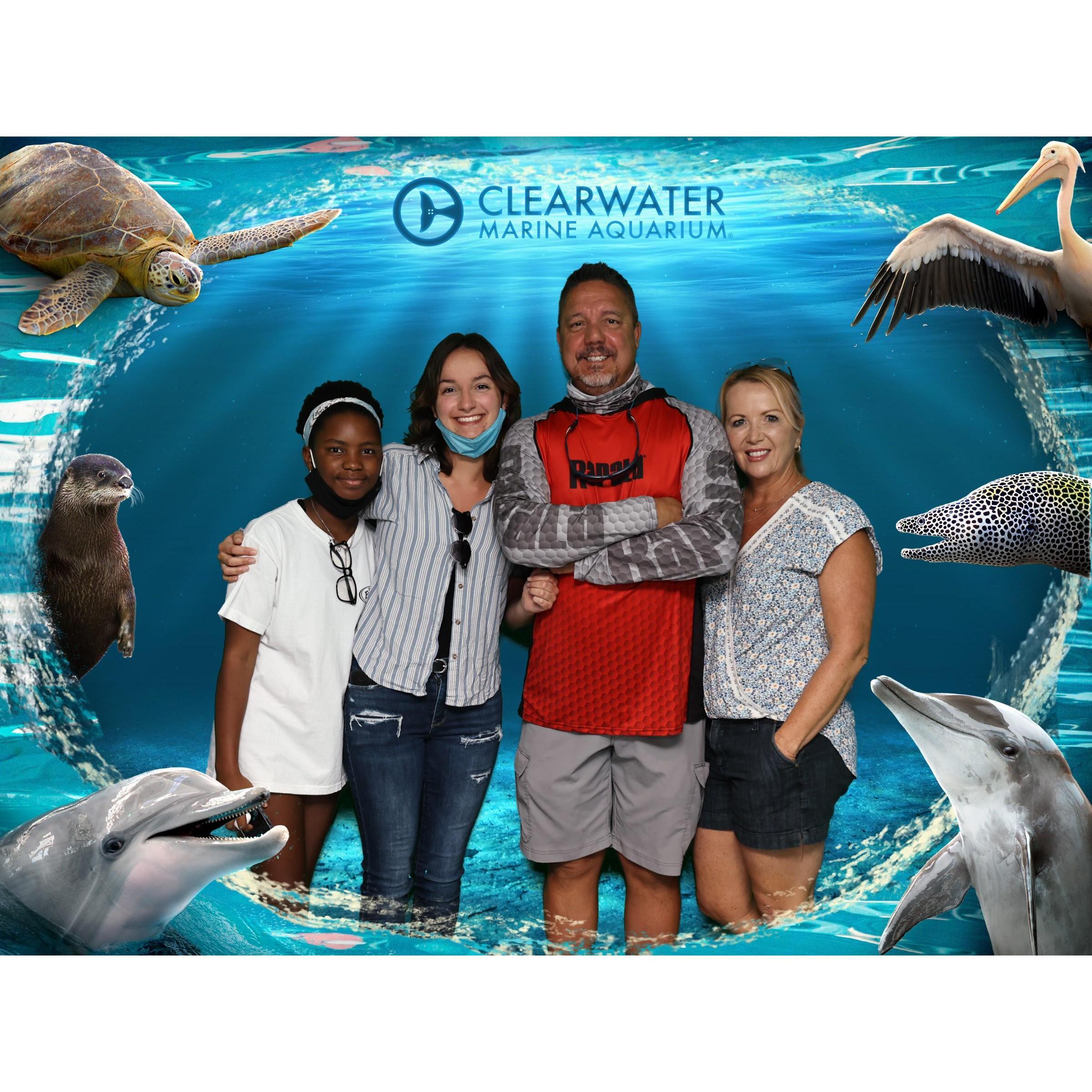 Clearwater Marine Aquarium