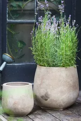 Aged Ceramic Planter, 12"