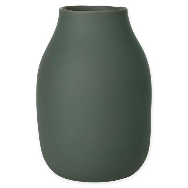 Blomus COLORA 7.88-Inch Round Storage Canister in Agave Green