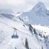 Snowbird